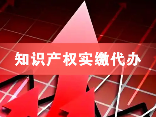 永城知识产权实缴资本代办